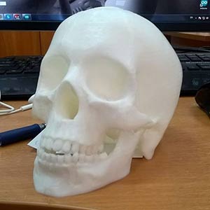 Printed skull