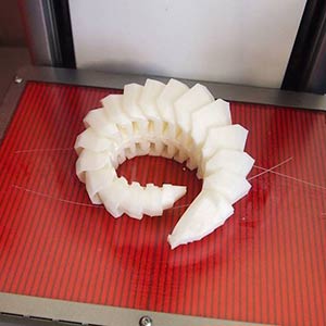 3D printing of a caterpillar